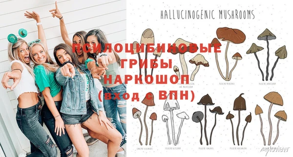 mix Белокуриха