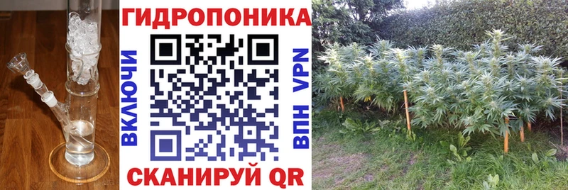 Конопля тримм  купить закладку  Шлиссельбург 